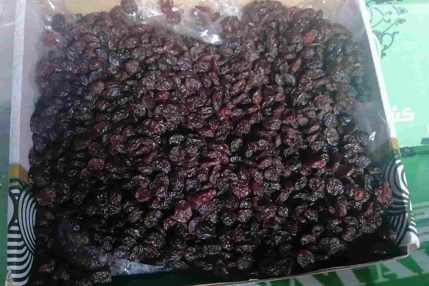 کشمش آفتابی